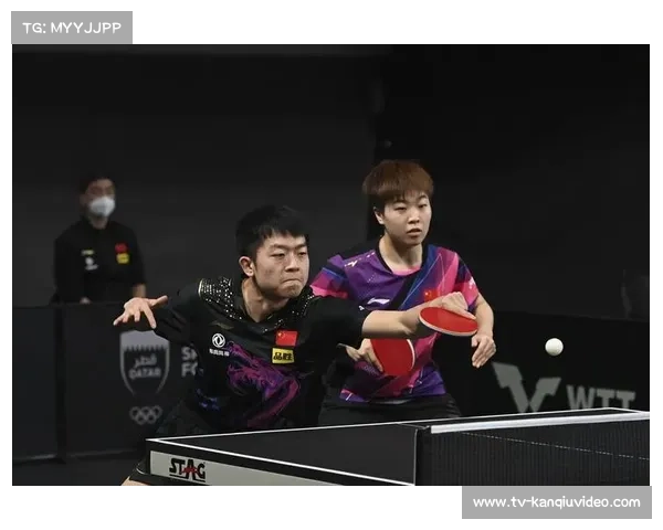 WTT意大利支线赛11月29日帕尔马举行，挑战赛收官